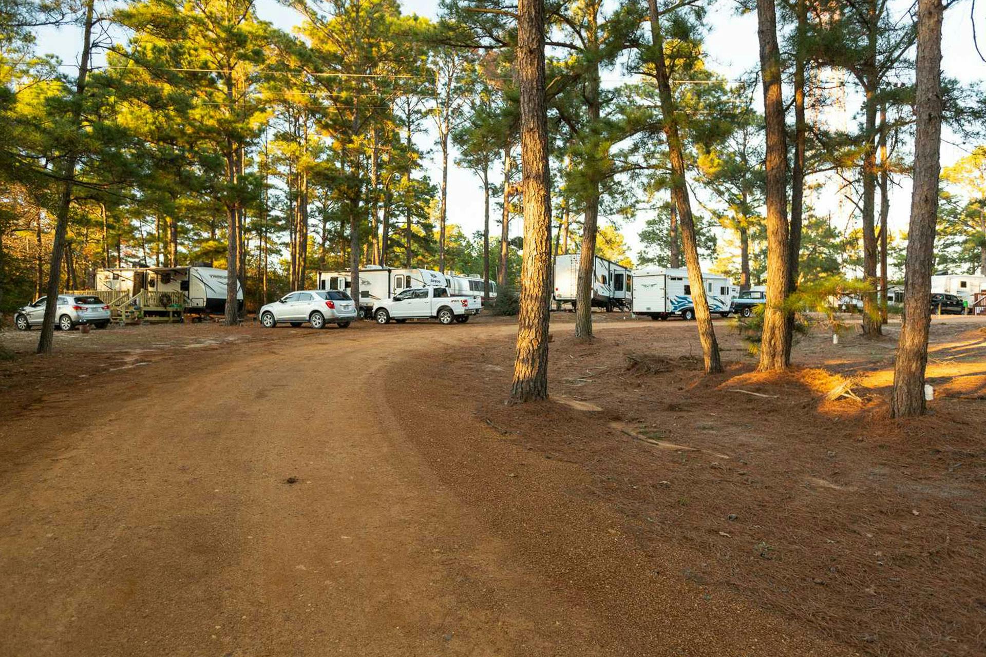 Top Campgrounds in Buescher State Park, Texas
