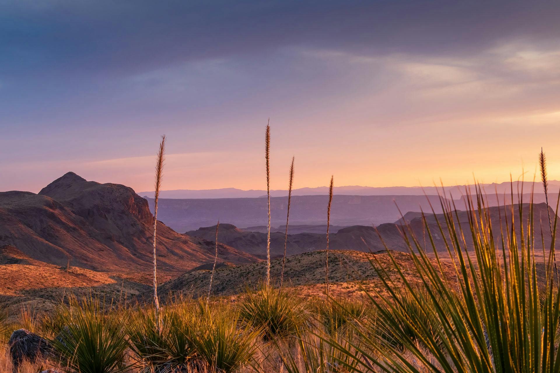 Top Campgrounds in Big Bend National Park, Texas