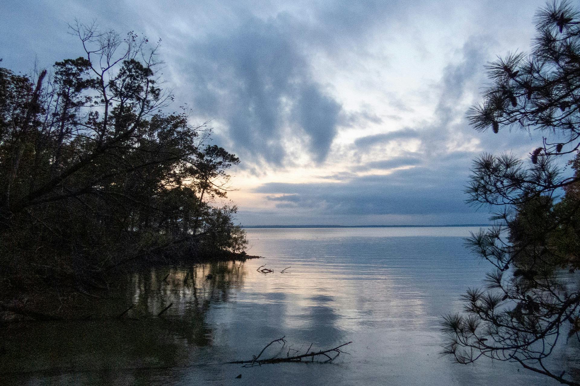 Top Campgrounds in Lake Livingston State Park, Texas